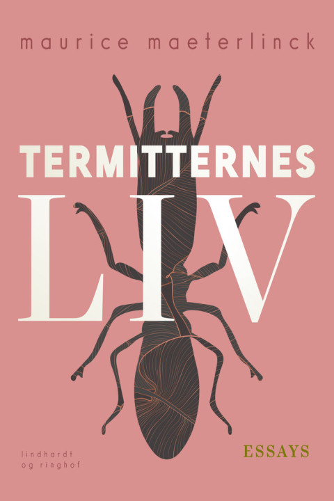 Omslag: Termitternes liv