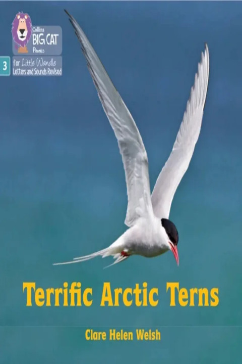 Omslag: Terrific Arctic Terns - Phase 3 Set 2