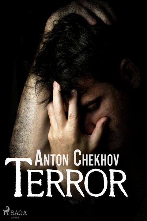 Omslag: Terror