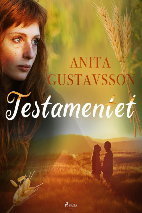 Omslag: Testamentet