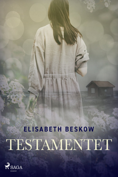 Omslag: Testamentet