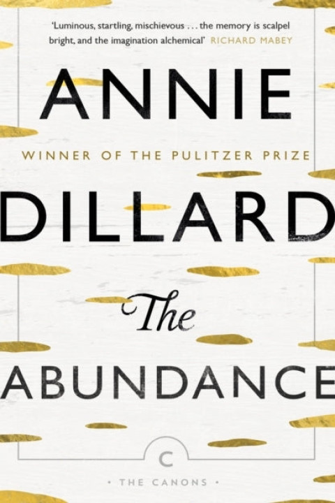 Omslag: The Abundance