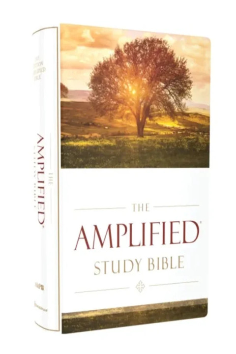 Omslag: The Amplified Study Bible, Hardcover