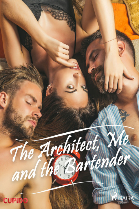 Omslag: The Architect, Me and the Bartender