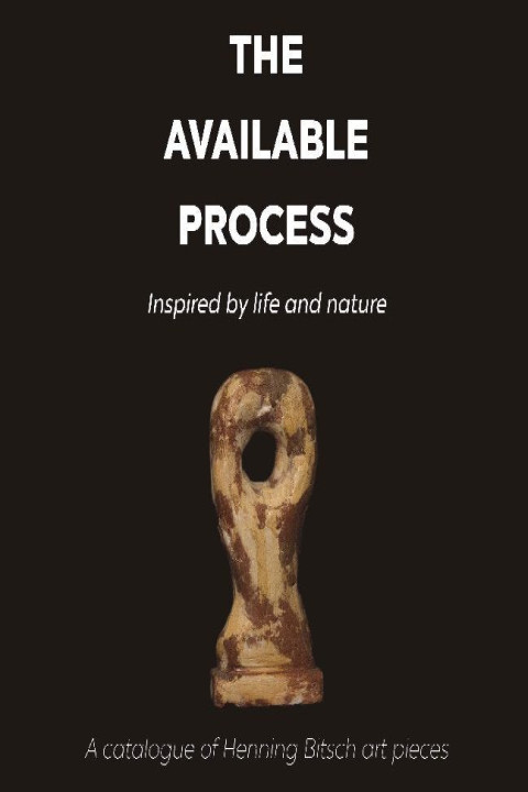 Omslag: The available Process