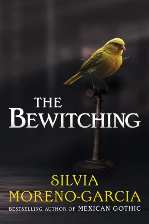 Omslag: The Bewitching
