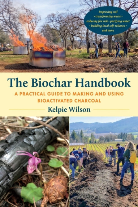 Omslag: The Biochar Handbook