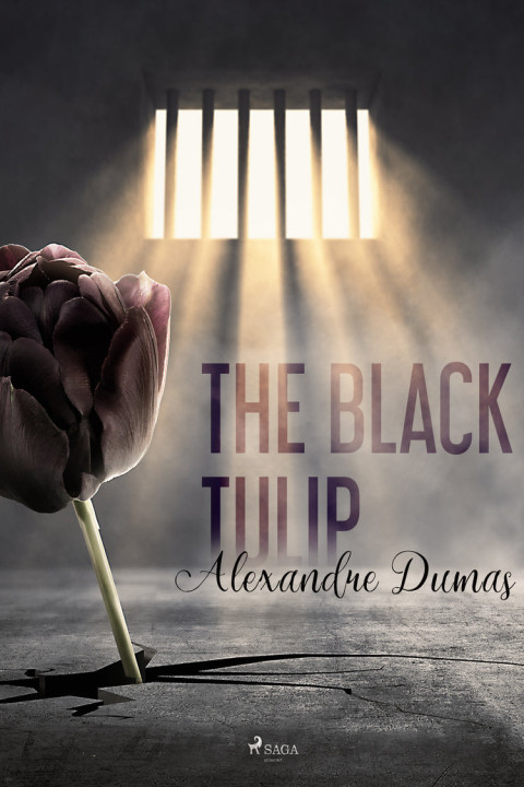 Omslag: The Black Tulip