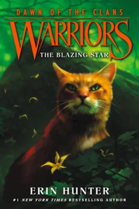 Omslag: The Blazing Star