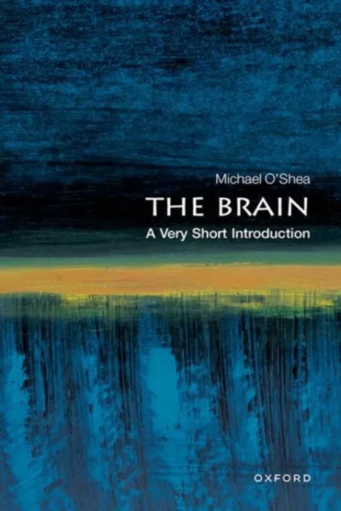 Omslag: The Brain - A Very Short Introduction