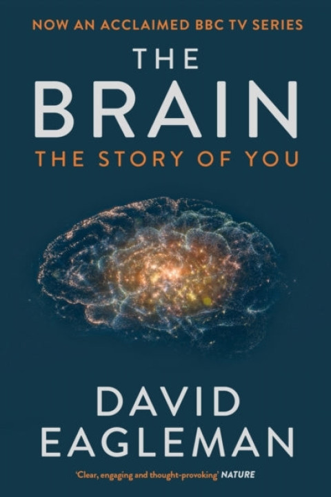Omslag: The Brain