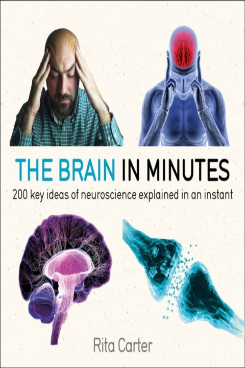 Omslag: The Brain in Minutes