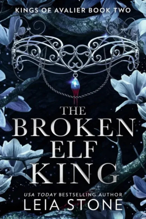 Omslag: The Broken Elf King