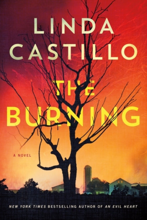 Omslag: The Burning