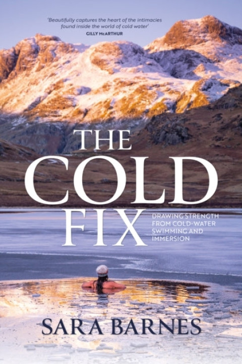 Omslag: The Cold Fix