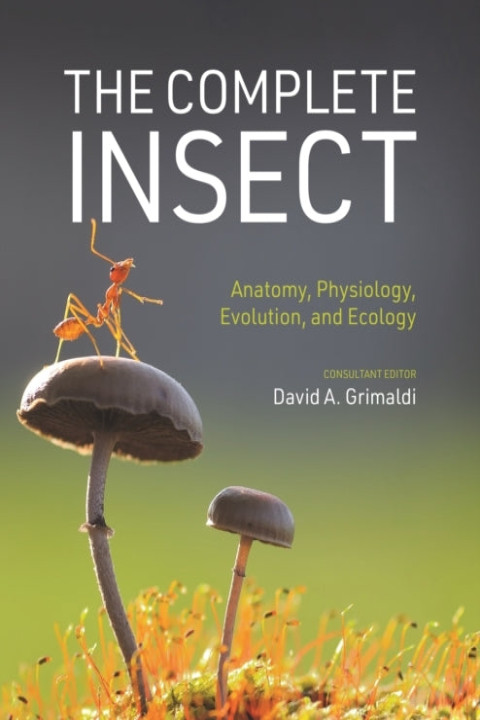 Omslag: The Complete Insectanatomy Physiology Evolution and Ecolo