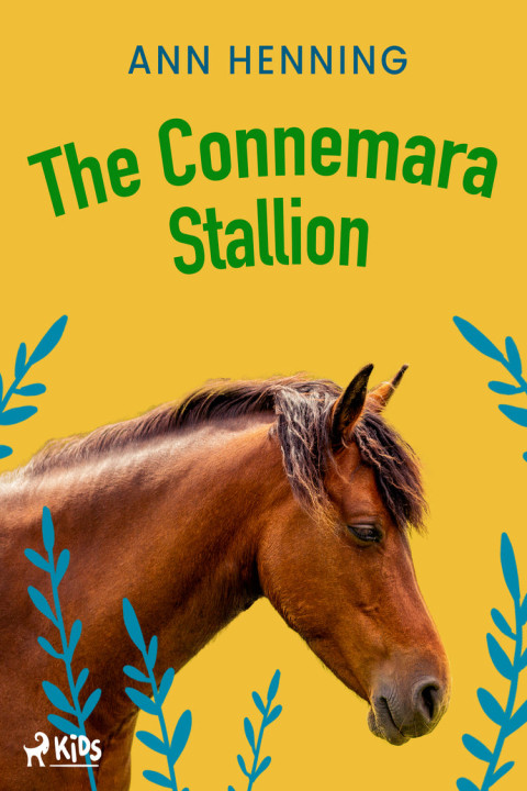 Omslag: The Connemara Stallion