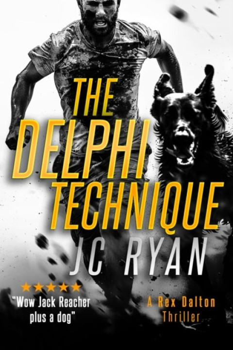 Omslag: The Delphi Technique
