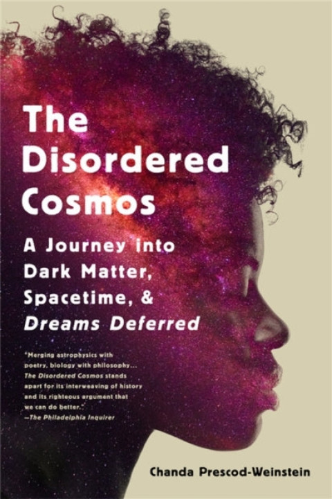 Omslag: The Disordered Cosmos