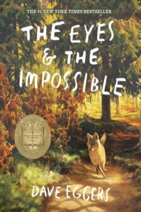 Omslag: The Eyes and the Impossible