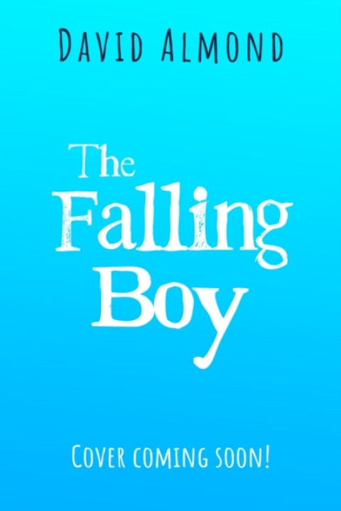 Omslag: The Falling Boy