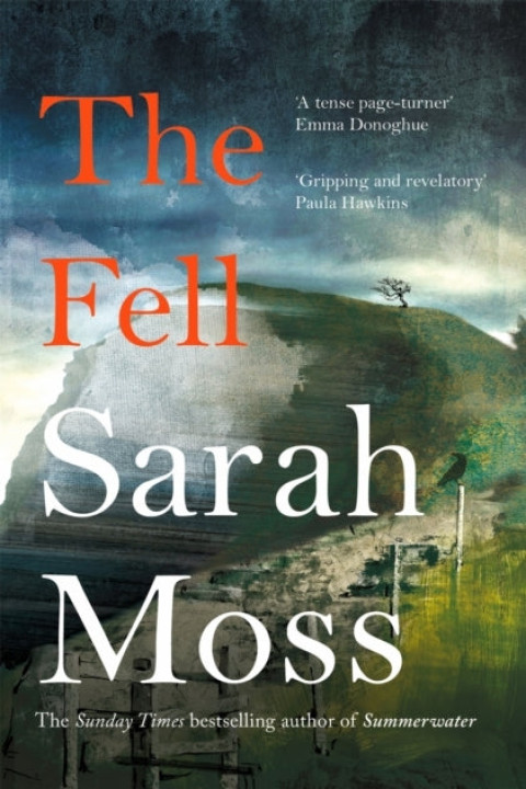 Omslag: The Fell