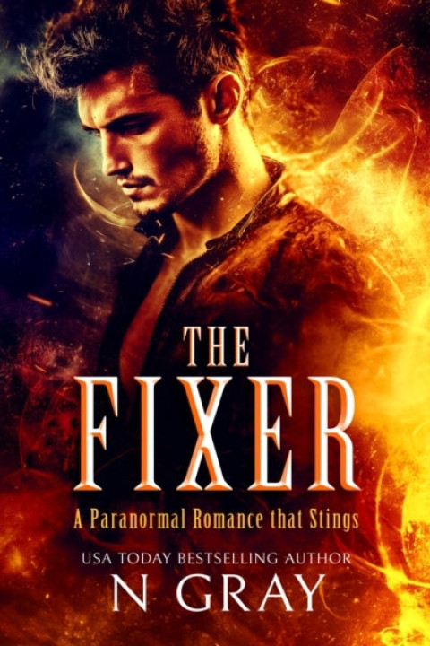 Omslag: The Fixer
