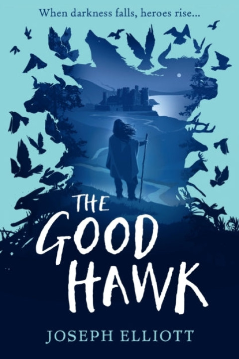 Omslag: The Good Hawk