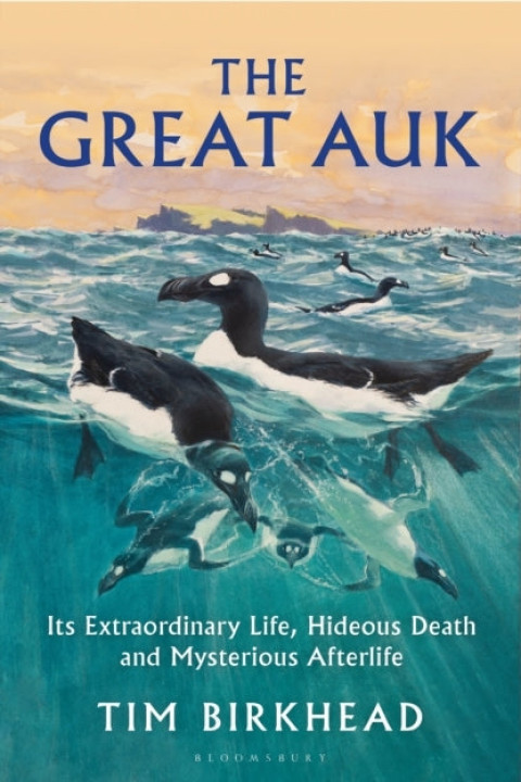 Omslag: The Great Auk