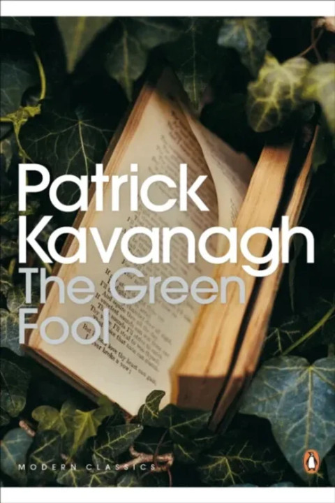 Omslag: The Green Fool