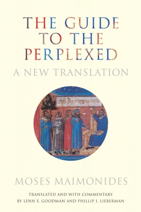 Omslag: The Guide to the Perplexed