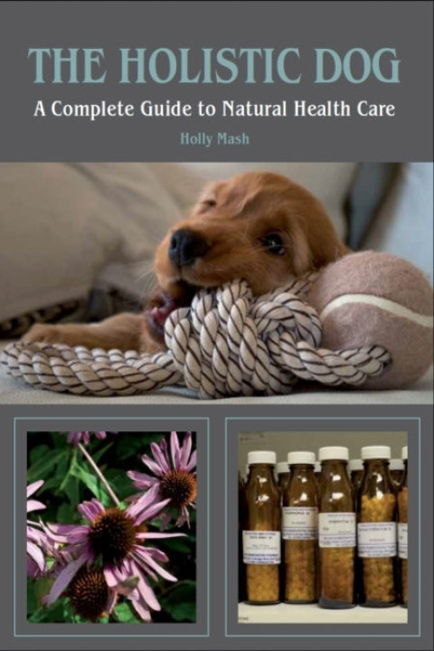 Omslag: The Holistic Dog