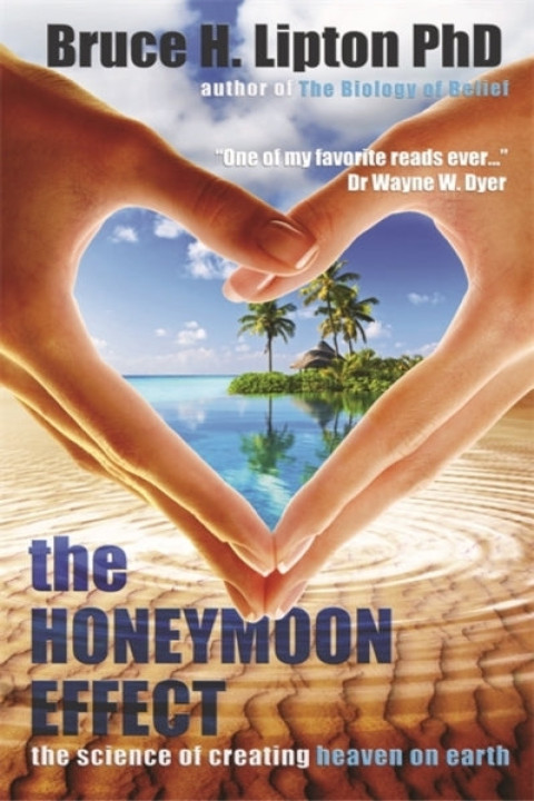 Omslag: The Honeymoon Effect