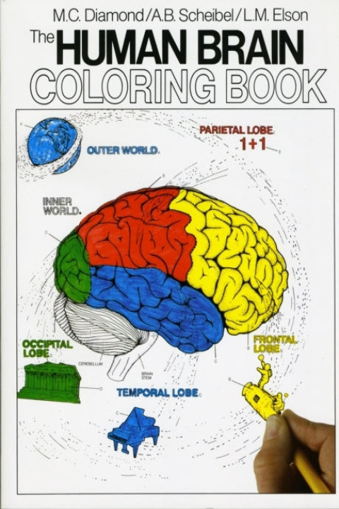 Omslag: The Human Brain Coloring Book