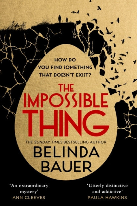 Omslag: The Impossible Thing