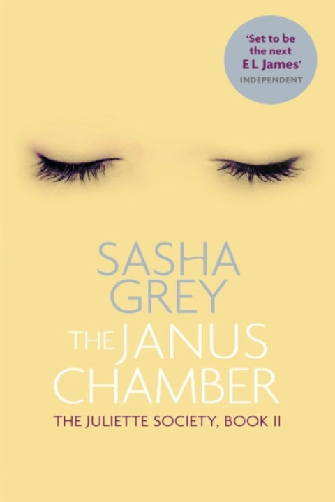 Omslag: The Janus Chamber