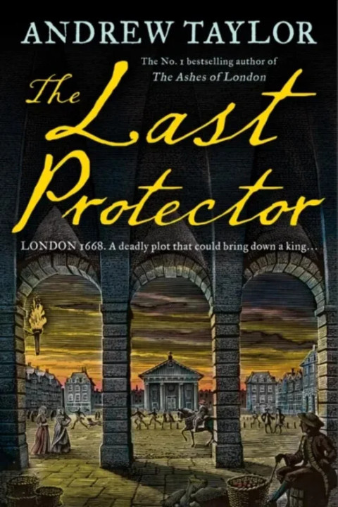 Omslag: The Last Protector