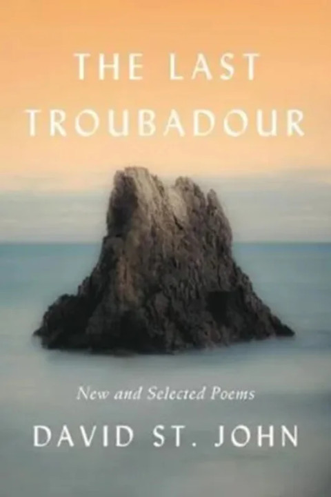 Omslag: The Last Troubadour