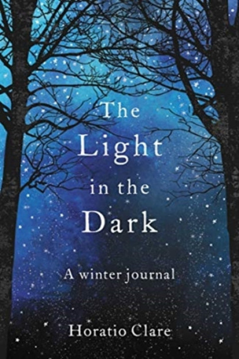 Omslag: The Light in the Dark