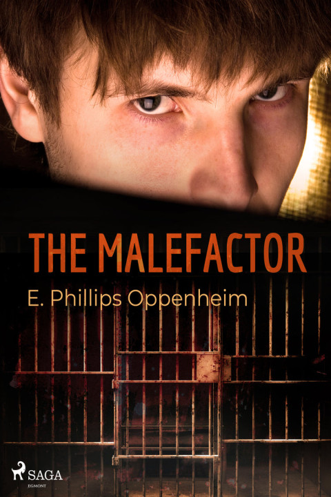 Omslag: The Malefactor