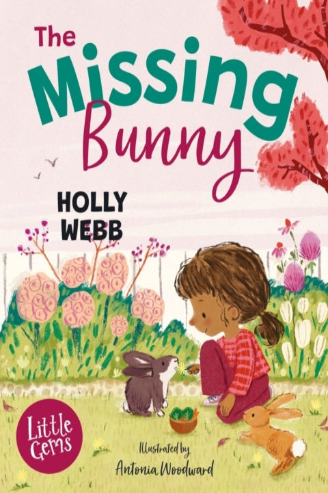 Omslag: The Missing Bunny