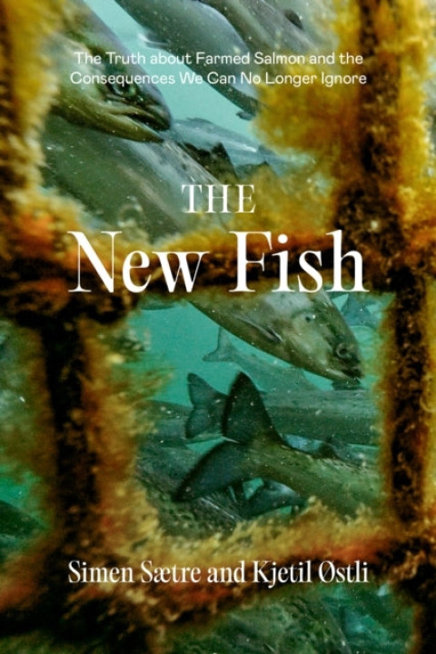 Omslag: The New Fish