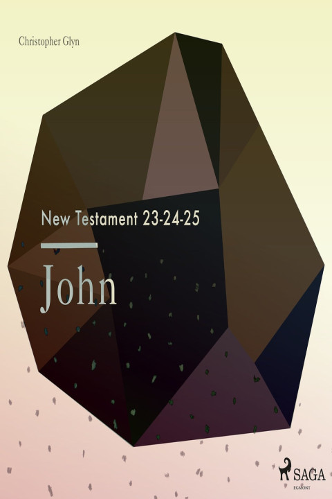 Omslag: The New Testament 23-24-25 - John