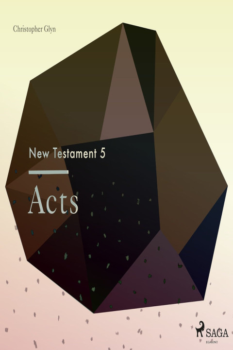 Omslag: The New Testament 5 - Acts