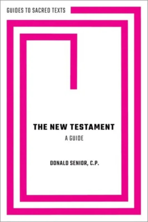 Omslag: The New Testament: A Guide