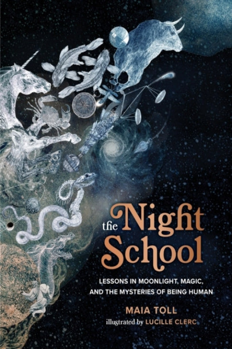 Omslag: The Night School