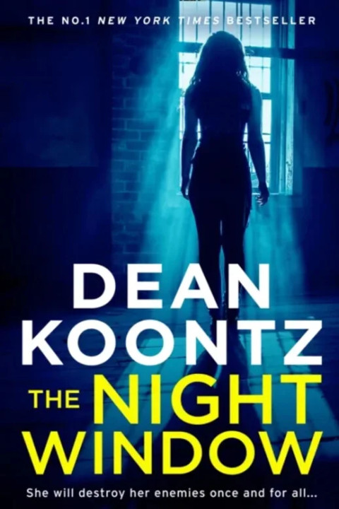 Omslag: The Night Window