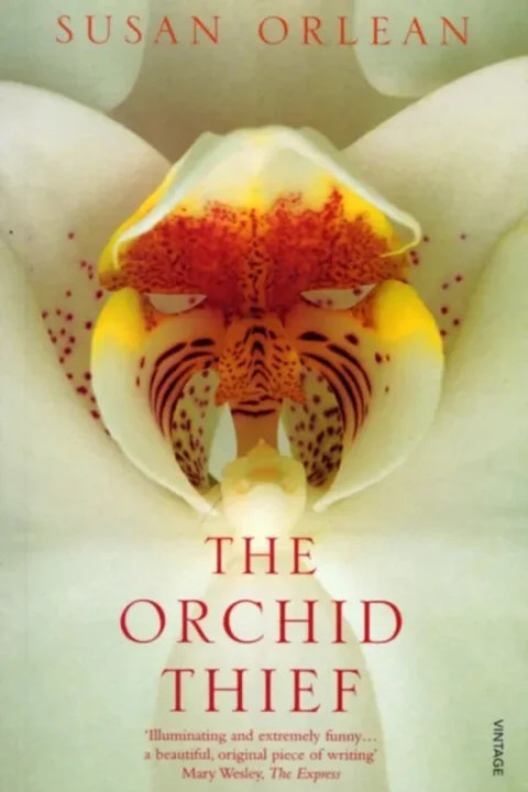 Omslag: The Orchid Thief