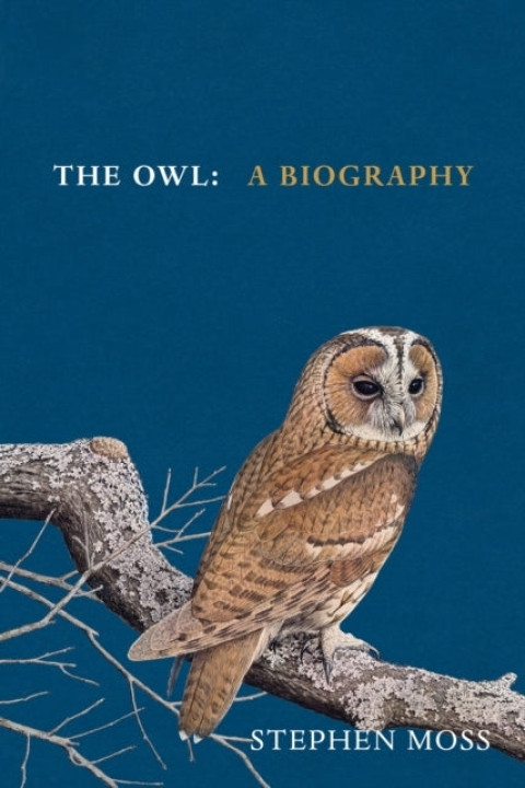 Omslag: The Owl A Biography