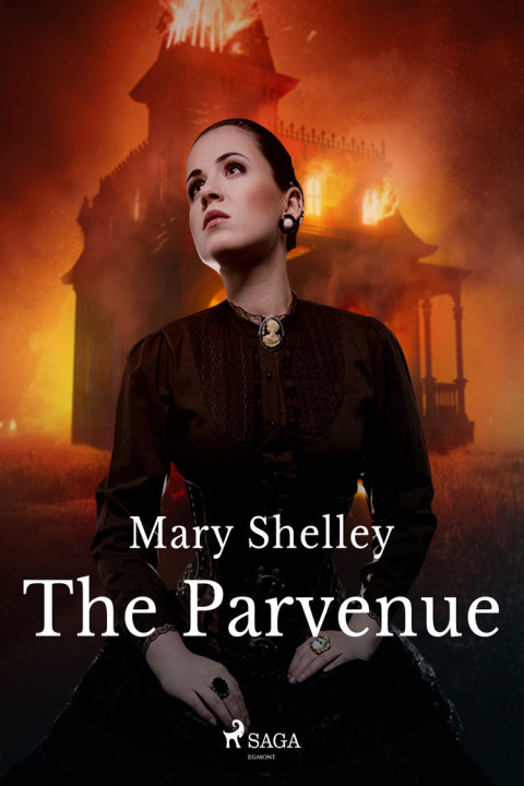 Omslag: The Parvenue